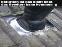 Wenn Heimwerken zur Mutprobe wird!