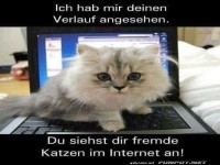 Kitty hat dein Geheimnis aufgedeckt!