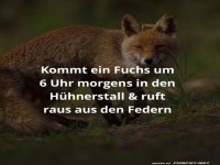Morgenstund hat Fuchs im Mund