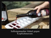 Wein-Eisw�rfel: Der ultimative K�hltrick!
