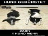 weiter