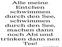Entchen im See auf Bildungsweg