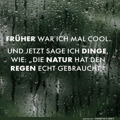Vom-Rockstar-zum-Regenkenner.jpg von Justus2002