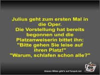 Julius geht zum ersten Mal in die Oper