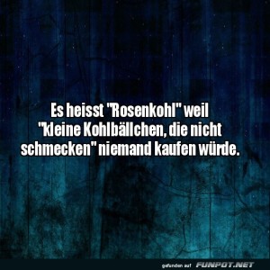 Rosenkohl-Marketing-101.jpg von Josie-96