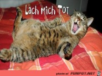 Lach mich Tot