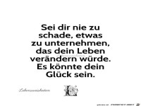 nie zu schade