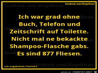 diegeilsten Toilette