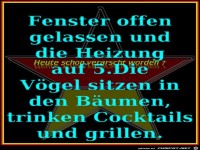 Fenster offen gelassen