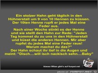 Ein stolzer Hahn geht t�glich in den H�hnerstall um 9 von...