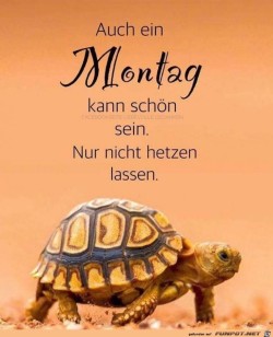 auch-ein-Montag.jpg auf www.funpot.net