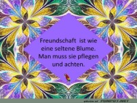 Freundschaft ist...