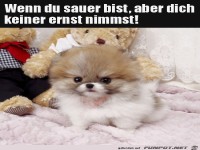 Das ist ja auch gemein