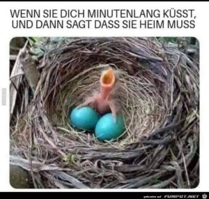 Dicke-Eier.jpg auf www.funpot.net