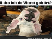 Habe ich Wurst geh�rt?