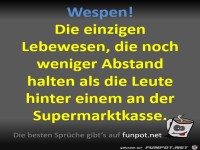 Bl�de Wespen