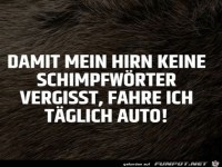 Ich fahre t�glich Auto