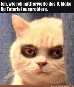 Der-6.-Versuch.jpg auf www.funpot.net