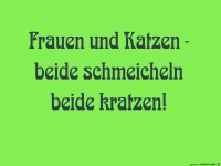 schmeicheln kratzen