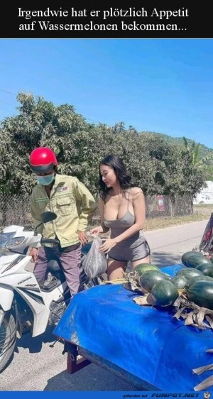 Lust-auf-Melonen.jpg auf www.funpot.net