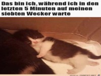 Da ist jemand sehr m�de