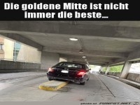 Die goldene Mitte