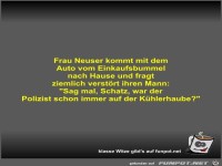 Frau Neuser kommt mit dem Auto vom Einkaufsbummel nach...