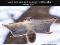 Fliegende Decke auf Mission