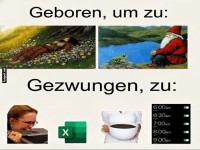 Vom Waldelf zum Excel-Experten