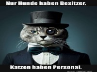Lord Whiskers regiert �ber sein K�nigreich