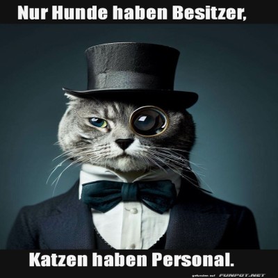 Lord-Whiskers-regiert-&uuml;ber-sein-K&ouml;nigreich.jpg von Kurt1978