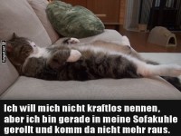 Die Kunst des maximalen Chills