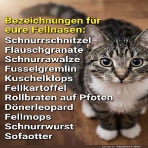 Fellnasen-Bezeichnungen.jpg von Leif