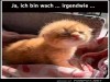 weiter