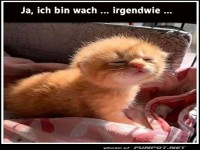 Ich bin wach