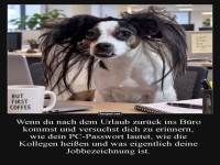 Der B�rohund, der Passwort-Amnesie hat