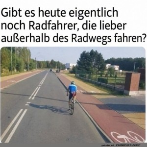 Der-Radweg-Rebell.jpg von Joeline