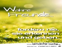 wahre-freunde-fordern-nie-sie-erkennen-und-geben