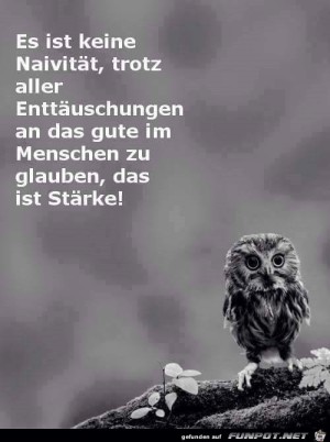 Naivitt.jpg auf www.funpot.net