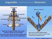 Networker