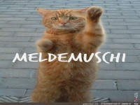 Meldemuschi
