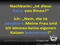 Katze adoptiert