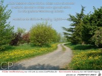 Liebe besteht nicht darin.......