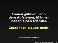 Morgentlicher Zufall