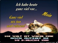 Hab heute ganz viel vor