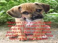 Wenn du mich suess findest