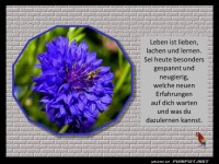 Leben ist lieben
