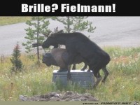 Eine Brille w�re hilfreich gewesen