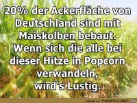 20 Prozent der Ackerflche 