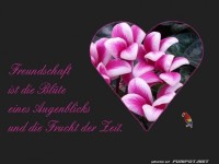 Freundschaft ist die Bluete